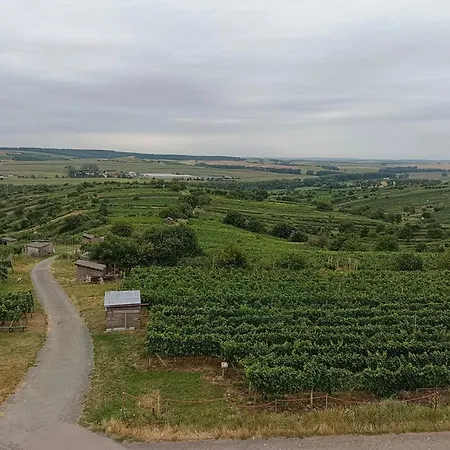 Sklipek Pod Vinohrady - Rychla Wifi * Mutenice