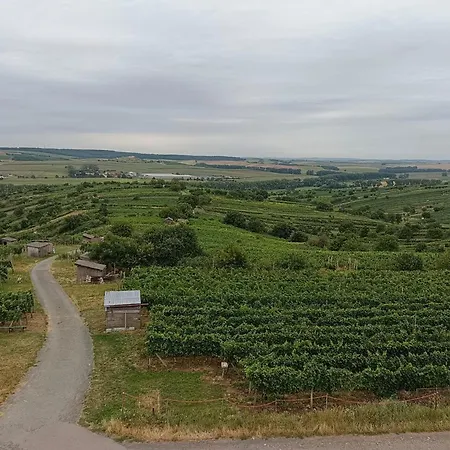 Sklipek Pod Vinohrady - Rychla Wifi, Klimatizace, Parkovani * Mutěnice