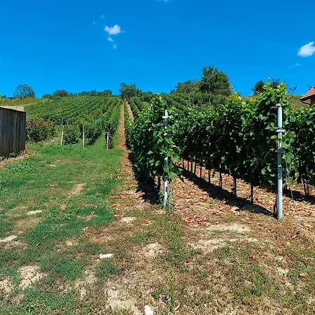 Apartmán Sklípek Pod Vinohrady - Rychlá Wifi