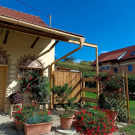 شقة Sklipek Pod Vinohrady - Rychla Wifi Mutěnice